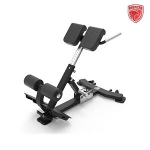 American Strength Line :  Adjustable Back Extension Version 2