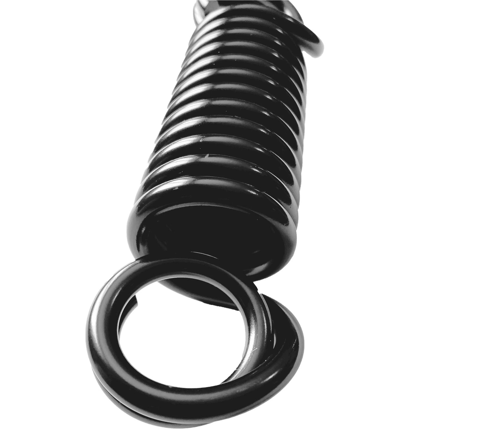 Fuji : Heavy Bag Spring - Image 2